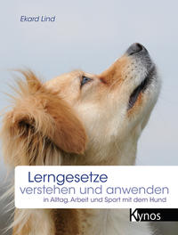 Vorderes Coverbild Lerngesetze verstehen und anwenden