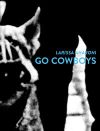 Vorderes Coverbild GO COWBOYS