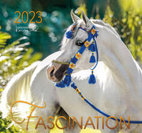 Vorderes Coverbild Fascination 2023