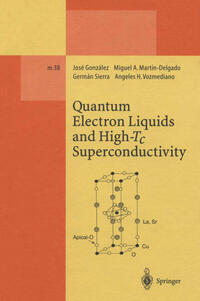 Vorderes Coverbild Quantum Electron Liquids and High-Tc Superconductivity