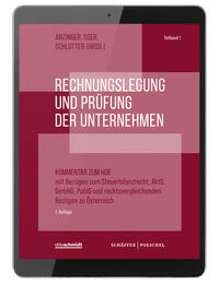 Vorderes Coverbild Rechnungslegung und Prüfung der Unternehmen (Online-Datenbank)