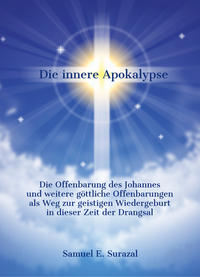 Vorderes Coverbild Die innere Apokalypse