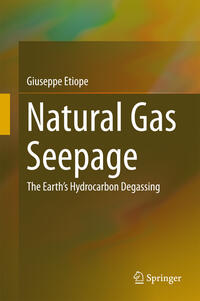 Vorderes Coverbild Natural Gas Seepage