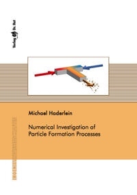Vorderes Coverbild Numerical Investigation of Particle Formation Processes