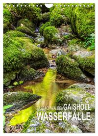 Vorderes Coverbild Sasbachwalden Gaishöll-Wasserfälle (Wandkalender 2025 DIN A4 hoch), CALVENDO Monatskalender