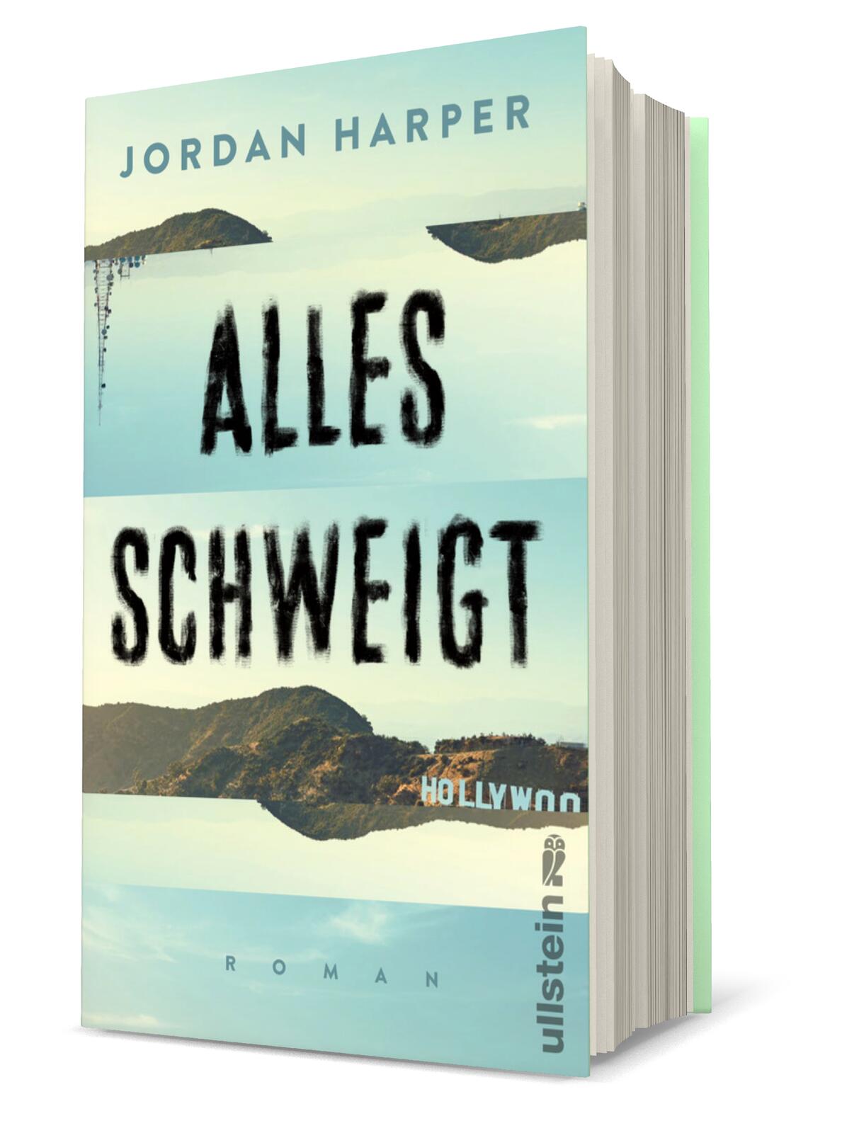 Anderes Coverbild Alles schweigt
