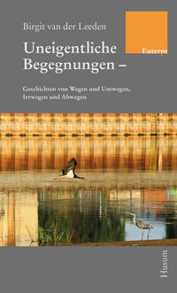 Vorderes Coverbild Uneigentliche Begegnungen