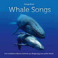 Vorderes Coverbild Whale Songs