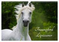 Vorderes Coverbild Traumpferd Lipizzaner (Wandkalender 2025 DIN A3 quer), CALVENDO Monatskalender