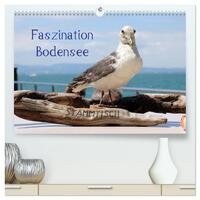 Vorderes Coverbild Faszination Bodensee (hochwertiger Premium Wandkalender 2025 DIN A2 quer), Kunstdruck in Hochglanz