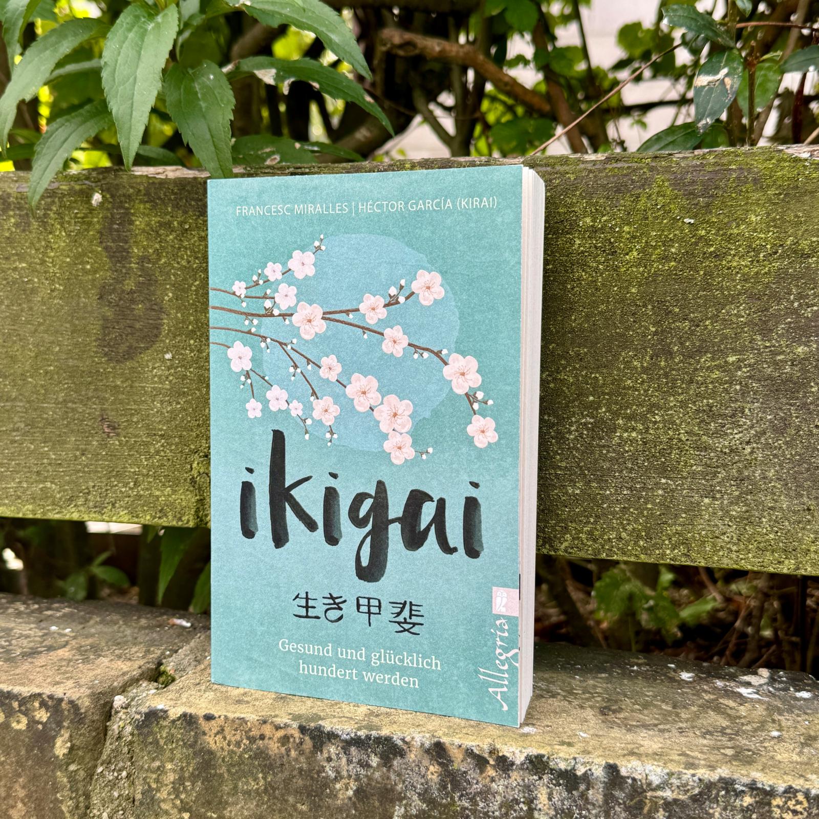 Beispielinhalt (Bild) Ikigai