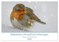 Vorderes Coverbild Rotkehlchen, die niedlichen Federkugeln (Wandkalender 2026 DIN A3 quer), CALVENDO Monatskalender