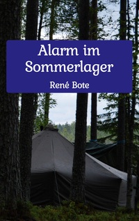 Vorderes Coverbild Alarm im Sommerlager