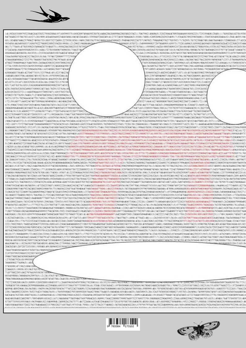 Rückseitencover Die Kreiszahl Pi