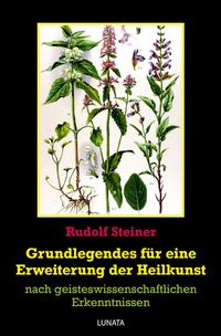 Vorderes Coverbild Grundlegendes zur Erweiterung der Heilkunst