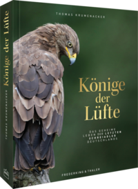 Vorderes Coverbild Könige der Lüfte