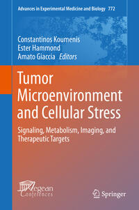 Vorderes Coverbild Tumor Microenvironment and Cellular Stress
