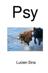 Vorderes Coverbild Psy