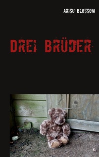 Vorderes Coverbild Drei Brüder