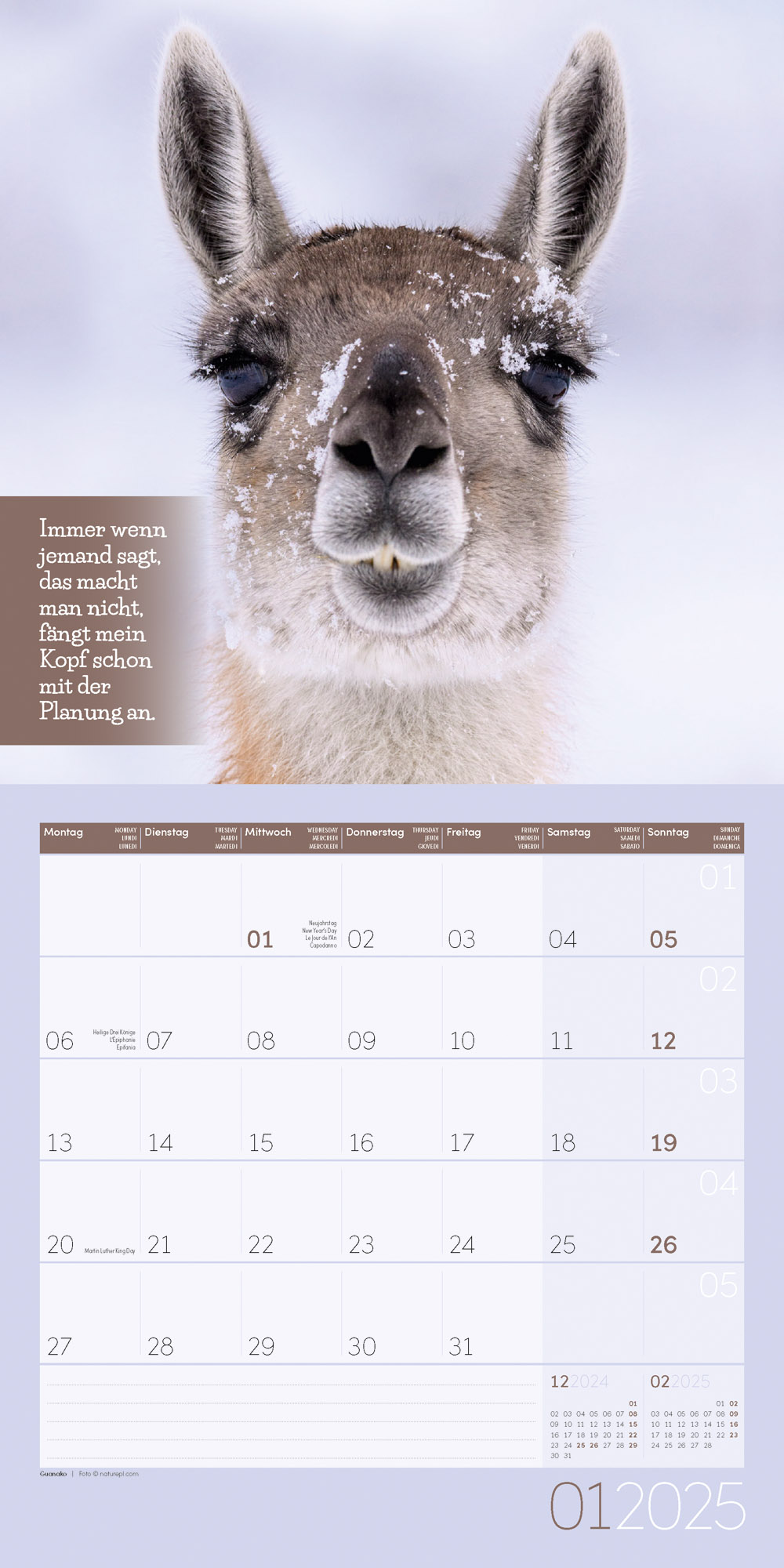 Beispielinhalt (Bild) Keep Smiling! Kalender 2025 - 30x30