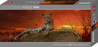 Vorderes Coverbild Red Dawn Puzzle