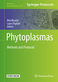 Vorderes Coverbild Phytoplasmas