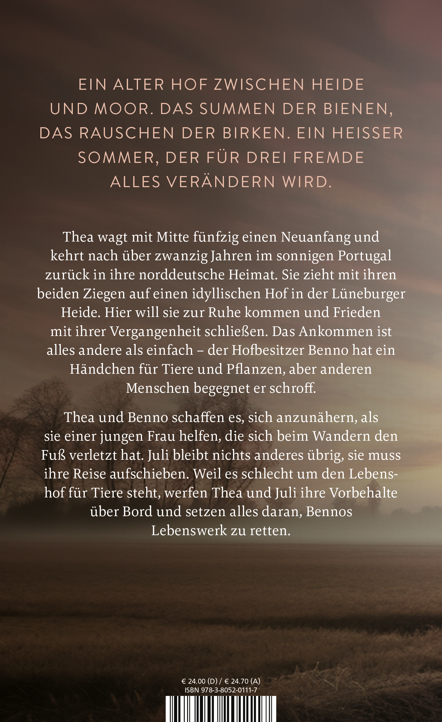Rückseitencover Das Licht in den Birken