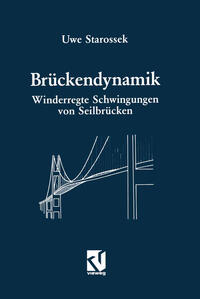 Vorderes Coverbild Brückendynamik
