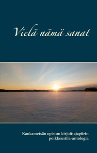 Vorderes Coverbild Vielä nämä sanat