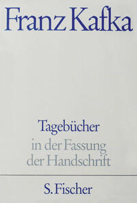 Vorderes Coverbild Tagebücher, Kommentar