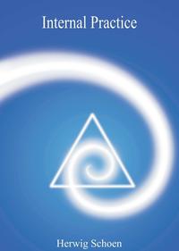 Vorderes Coverbild Internal Practice