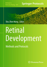 Vorderes Coverbild Retinal Development