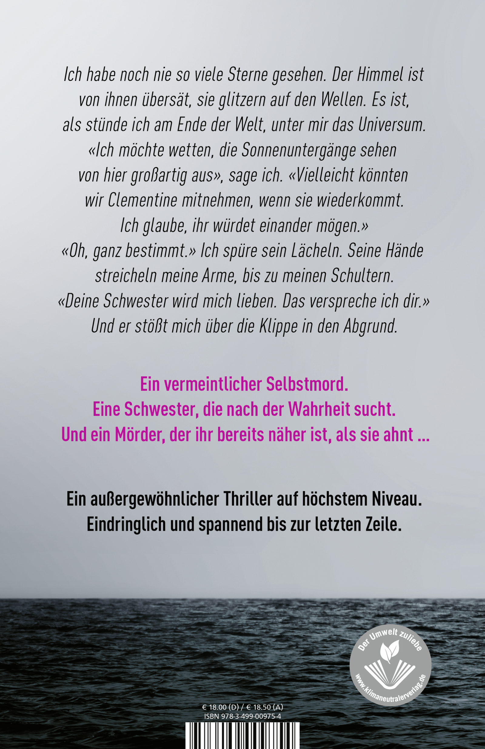 Rückseitencover Abgrund