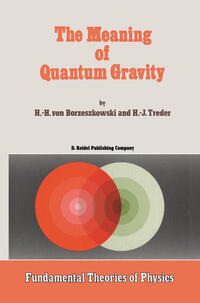 Vorderes Coverbild The Meaning of Quantum Gravity