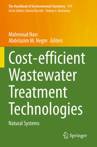 Vorderes Coverbild Cost-efficient Wastewater Treatment Technologies