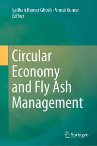 Vorderes Coverbild Circular Economy and Fly Ash Management