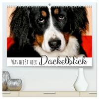 Vorderes Coverbild Was heißt hier Dackelblick (hochwertiger Premium Wandkalender 2025 DIN A2 quer), Kunstdruck in Hochglanz