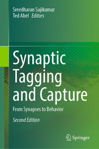 Vorderes Coverbild Synaptic Tagging and Capture