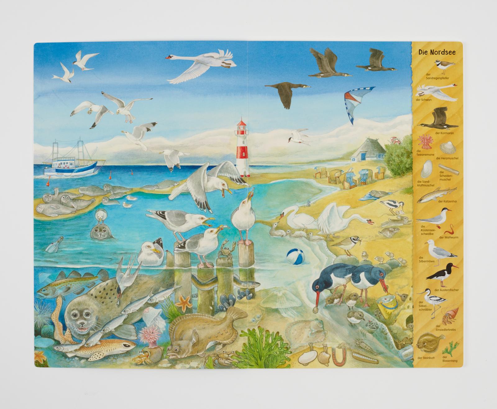 Beispielinhalt (Bild) Riesen-Wimmelbuch: Das Riesen-Meer-Wimmelbuch