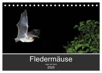 Vorderes Coverbild Fledermäuse - Jäger der Nacht (Tischkalender 2025 DIN A5 quer), CALVENDO Monatskalender
