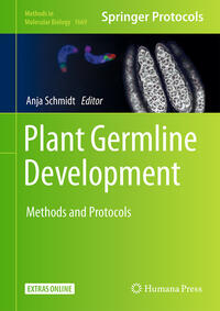 Vorderes Coverbild Plant Germline Development