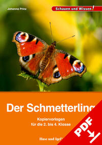 Vorderes Coverbild Der Schmetterling – Kopiervorlagen für die 2. bis 4. Klasse