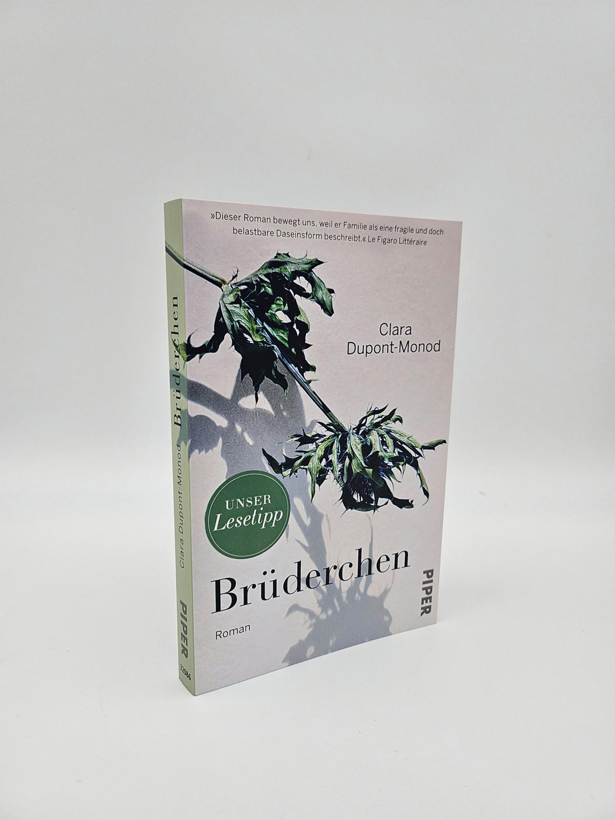 Beispielinhalt (Bild) Brüderchen