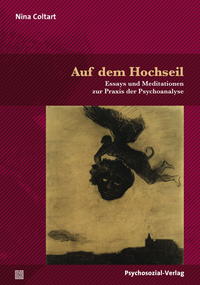 Vorderes Coverbild Auf dem Hochseil