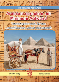 Vorderes Coverbild Arabisch sprechen mit Minimum Aufwand