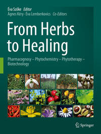 Vorderes Coverbild From Herbs to Healing