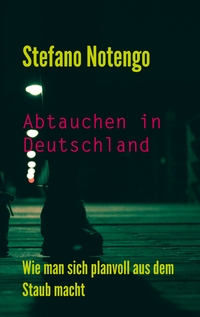 Vorderes Coverbild Abtauchen in Deutschland