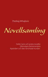 Vorderes Coverbild Novellsamling