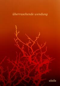 Vorderes Coverbild überraschende wendung