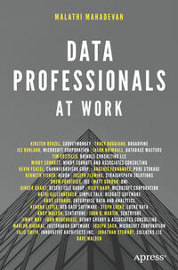 Vorderes Coverbild Data Professionals at Work